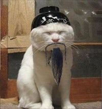 a cat wearing a hat with a beard